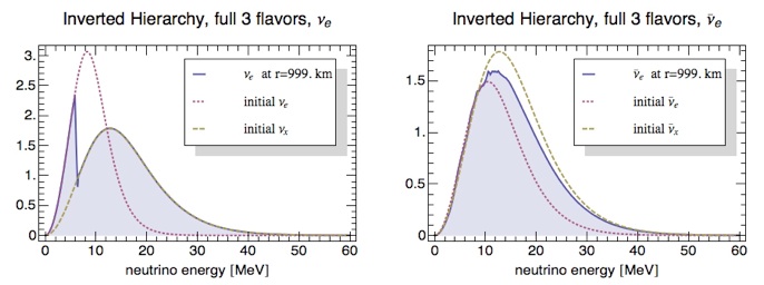 3 flavor snapshot